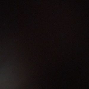 Meet your Posher, Carl